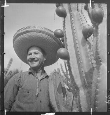 Mexican worker near cereus specimen, February 1938