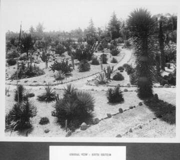 Desert garden, general view, south section
