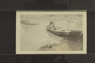 In the brush on the lower Alamo