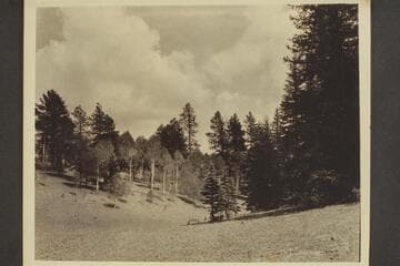 North Rim of Grand Canyon