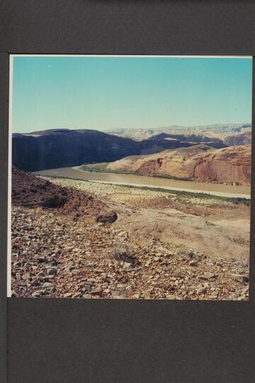 Down river from the top of the climb of the road on the left bank after crossing the river at Halls Crossing