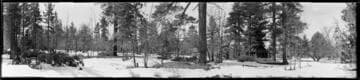 Pinewoods by Holden Mill, Big Bear Lake. 1922