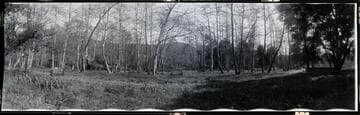 Verdugo Park, Glendale. 1912