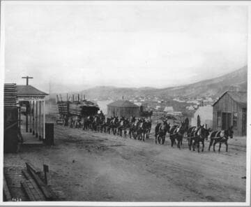 Teaming lumber and supplies into Goldfield, Nevada, 1904