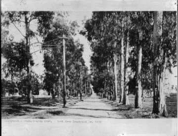 Hollywood, Santa Monica Blvd. East from Beechwood Drive
