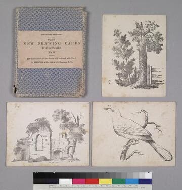 Coe’s New Drawing Cards for Schools, No. 5